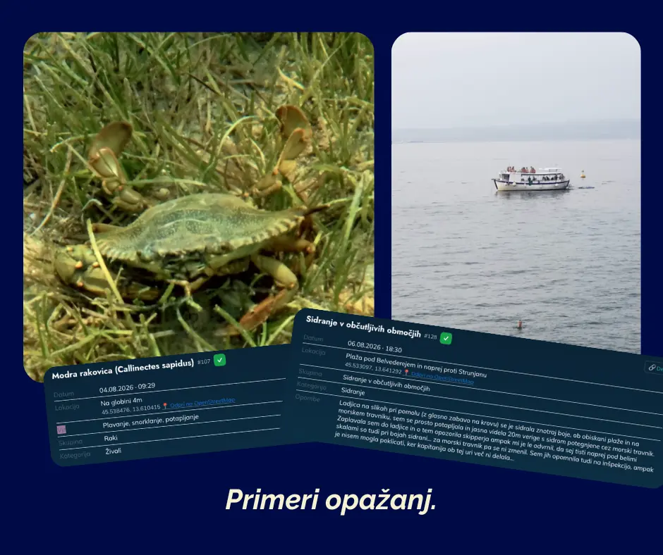 ristanc primeri vnosov zamorje.si